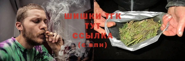 гашик Костерёво