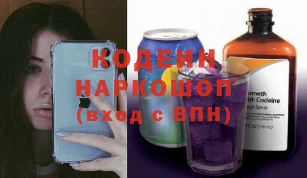 дживик Краснослободск