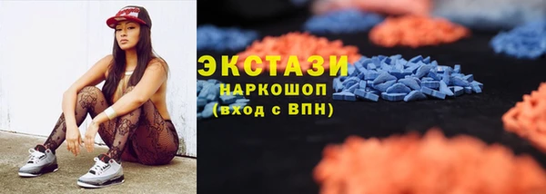 дживик Краснослободск