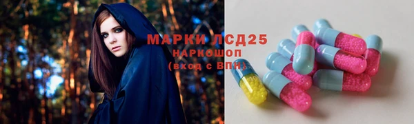 кокс Корсаков