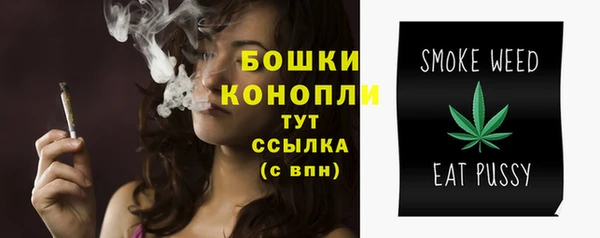 дживик Краснослободск
