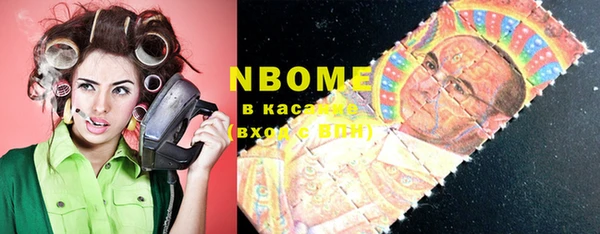 дживик Краснослободск