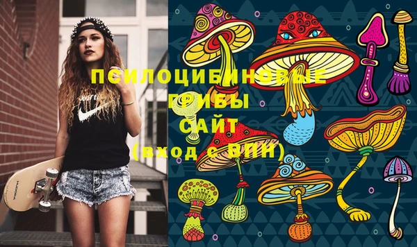 дживик Краснослободск