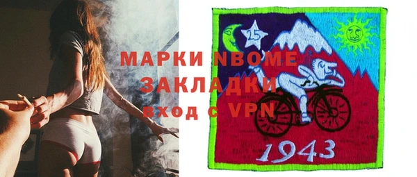 гашик Костерёво