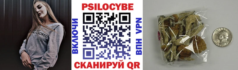 Купить Лагань Псилоцибиновые грибы мицелий